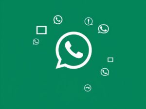 lotazap grupo de whatsapp videos de celular